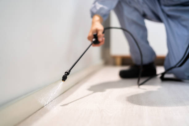 Licensed Pest Control service in Wolfforth, TX - Show Me Pest Control