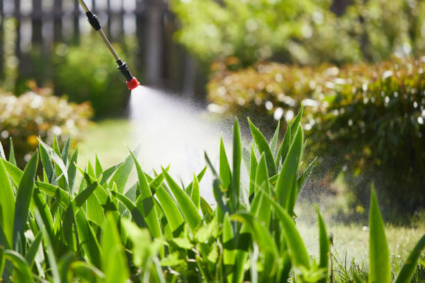 24/7 Emergency Wasp Removal experts in Wolfforth, TX