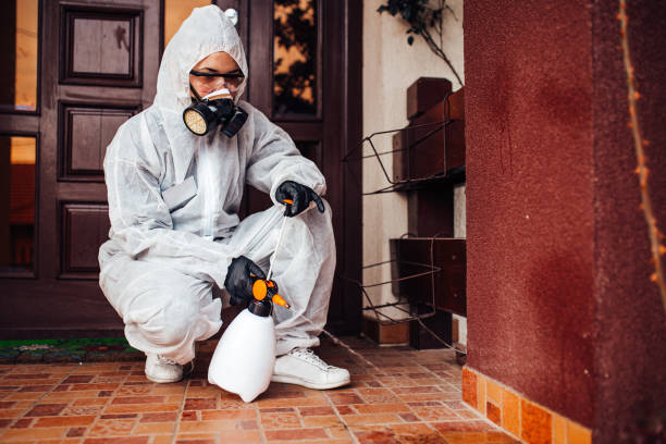 Reliable Wasp Removal contractor in Wolfforth, TX by Show Me Pest Control